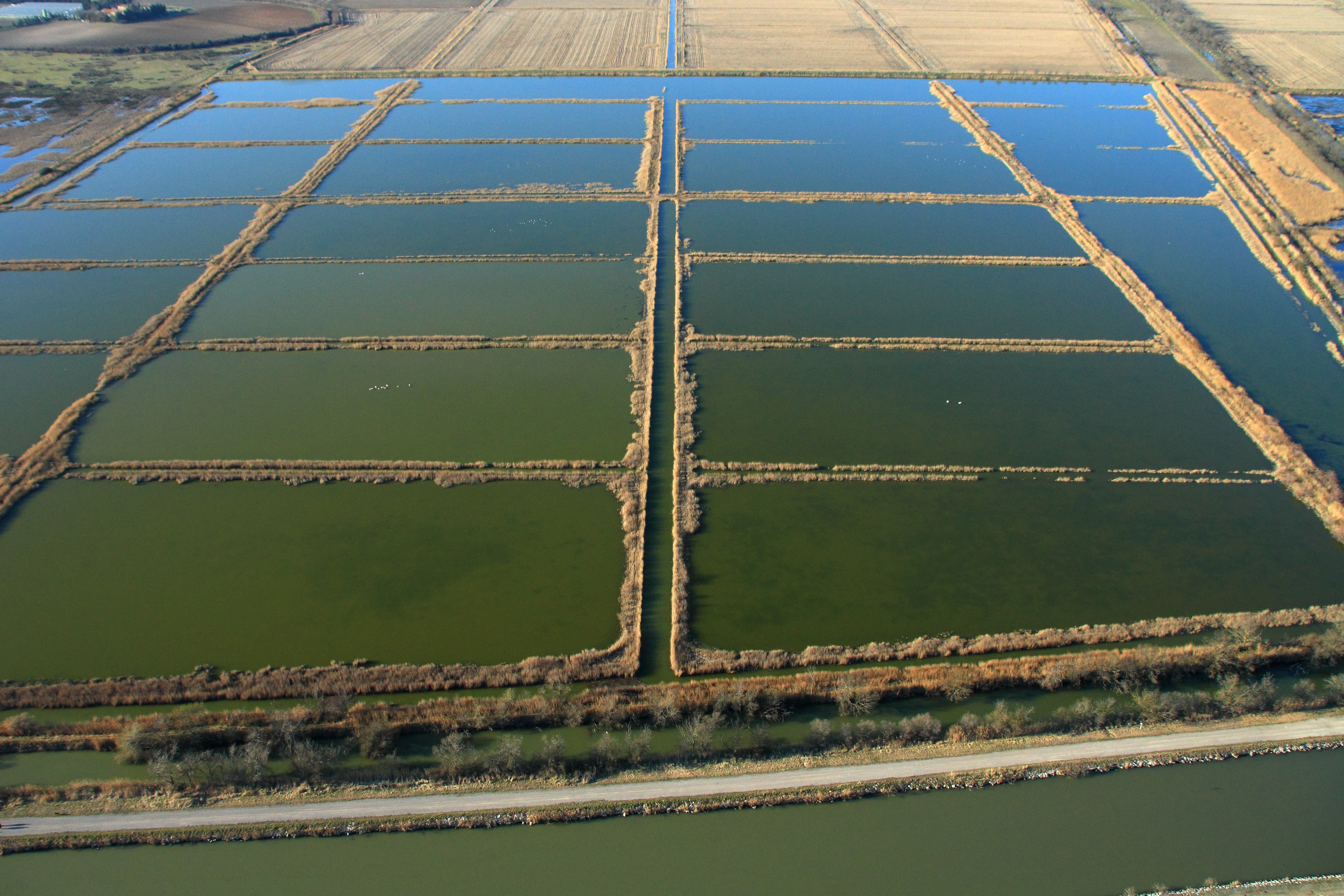 Photo aérienne illustrant les milieux aquatiques de Camargue Gardoise