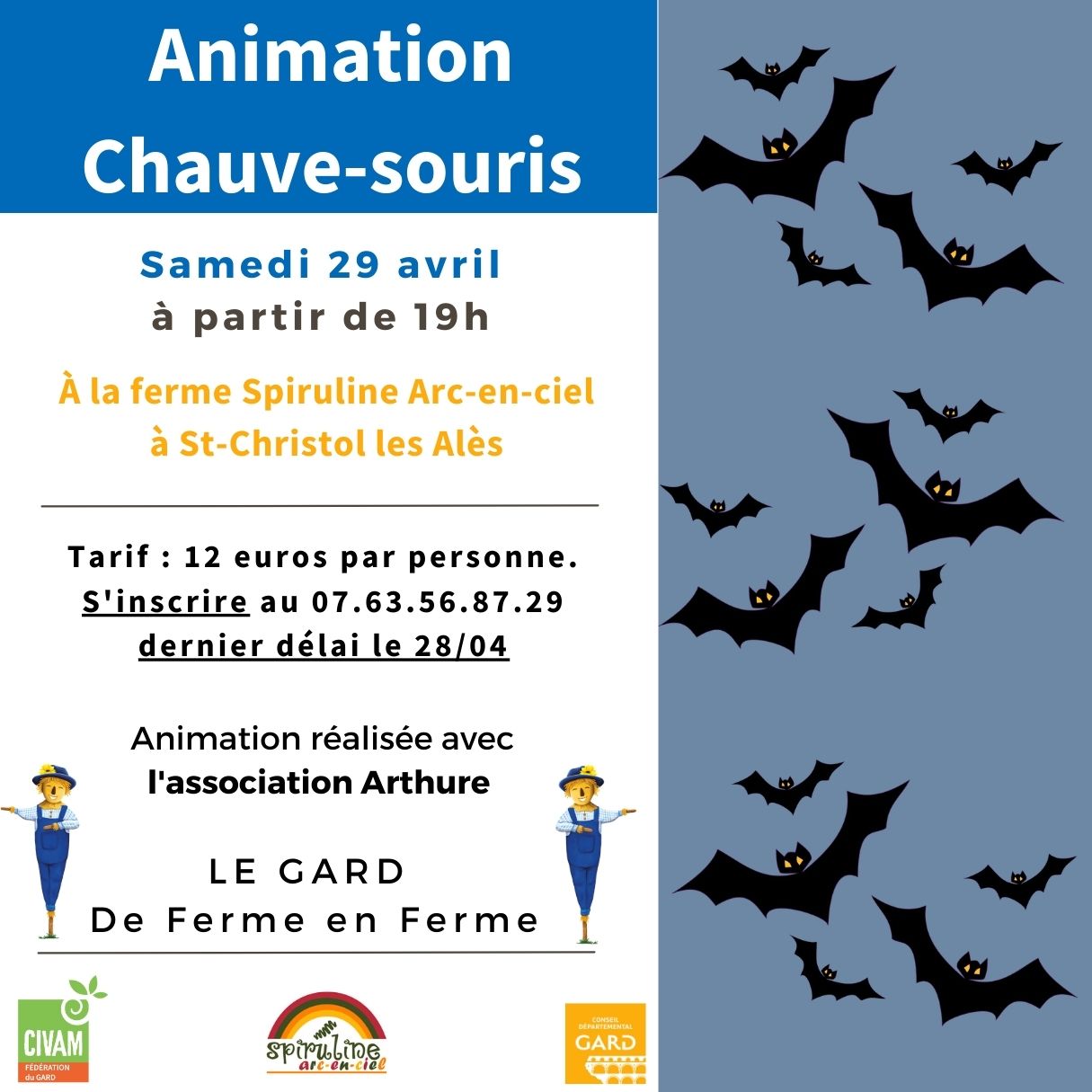 Animation chauve souris 29/04