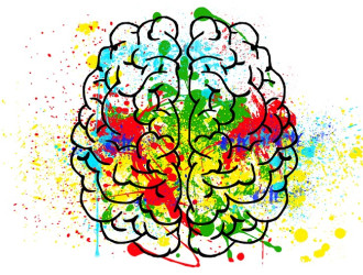 cerveau