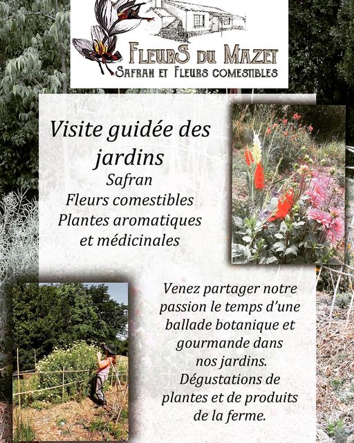 jardin du mazet
