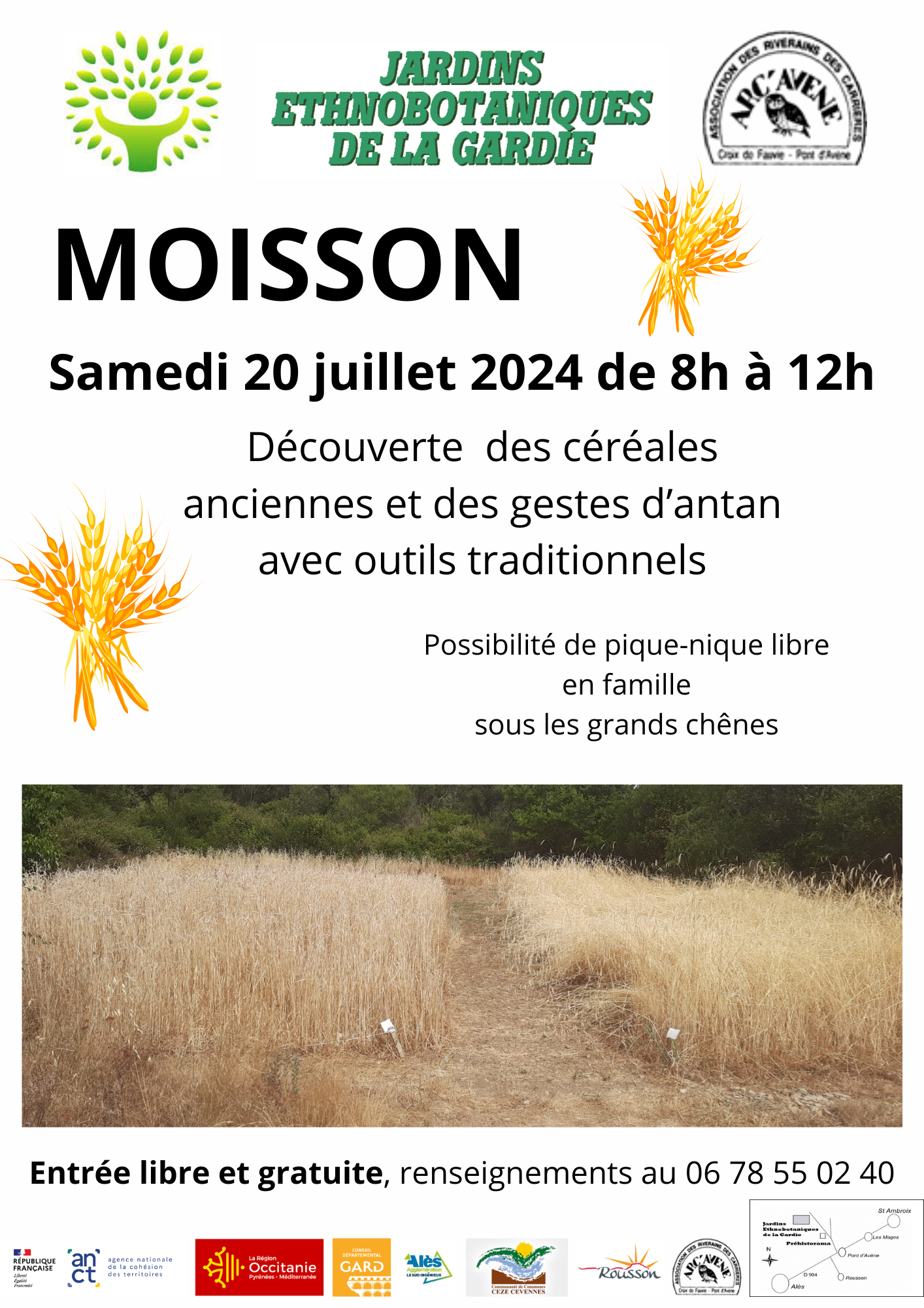 Les épis prêts à être moissonnés