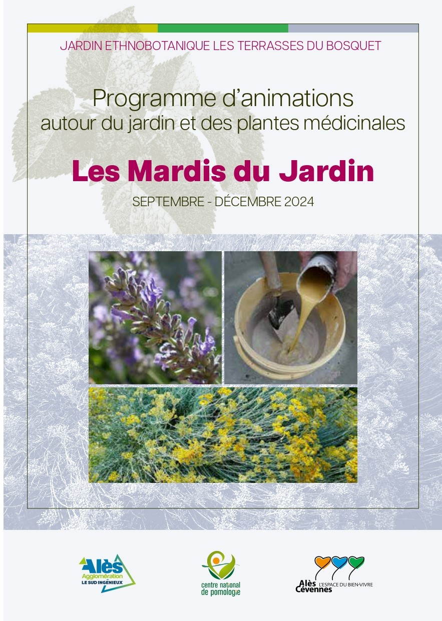 mardis_jardis