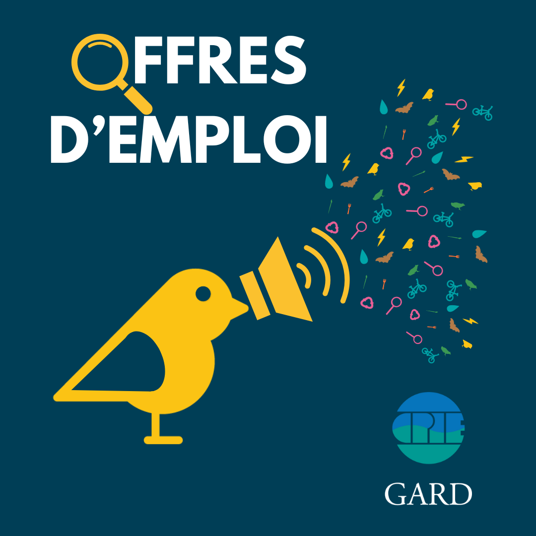 Affiche offres d'emploi 2024
