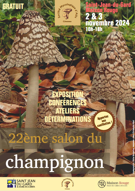 mycologie
