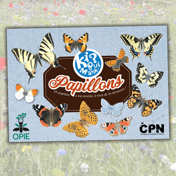 papillon