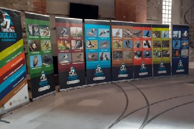 Expo oiseaux