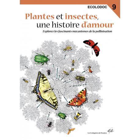 insectes