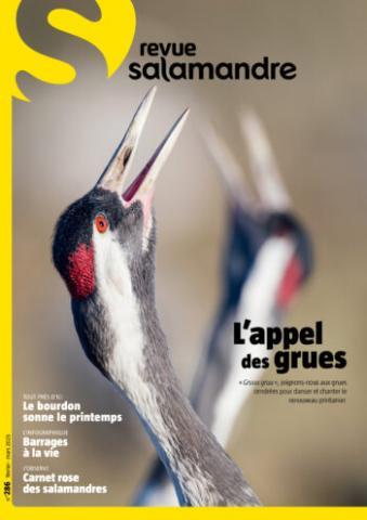 image de couverture / grues