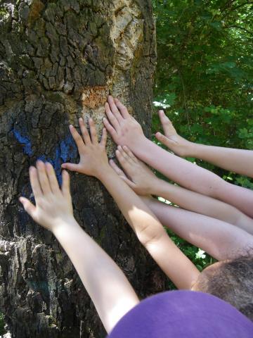 photo acc classes Alès Agglo 