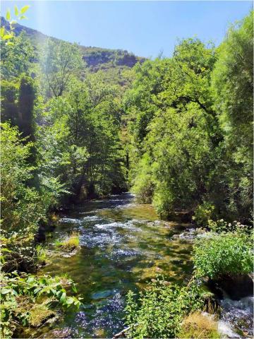 Photo Et au milieu coule la Cèze 